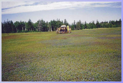 Harvesting