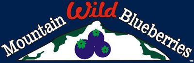 Mountain Wild Blueberries